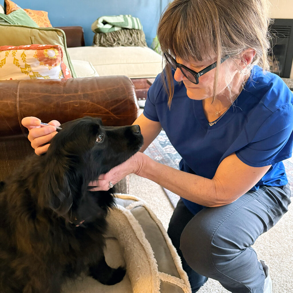 DrAnitaAcupuncture