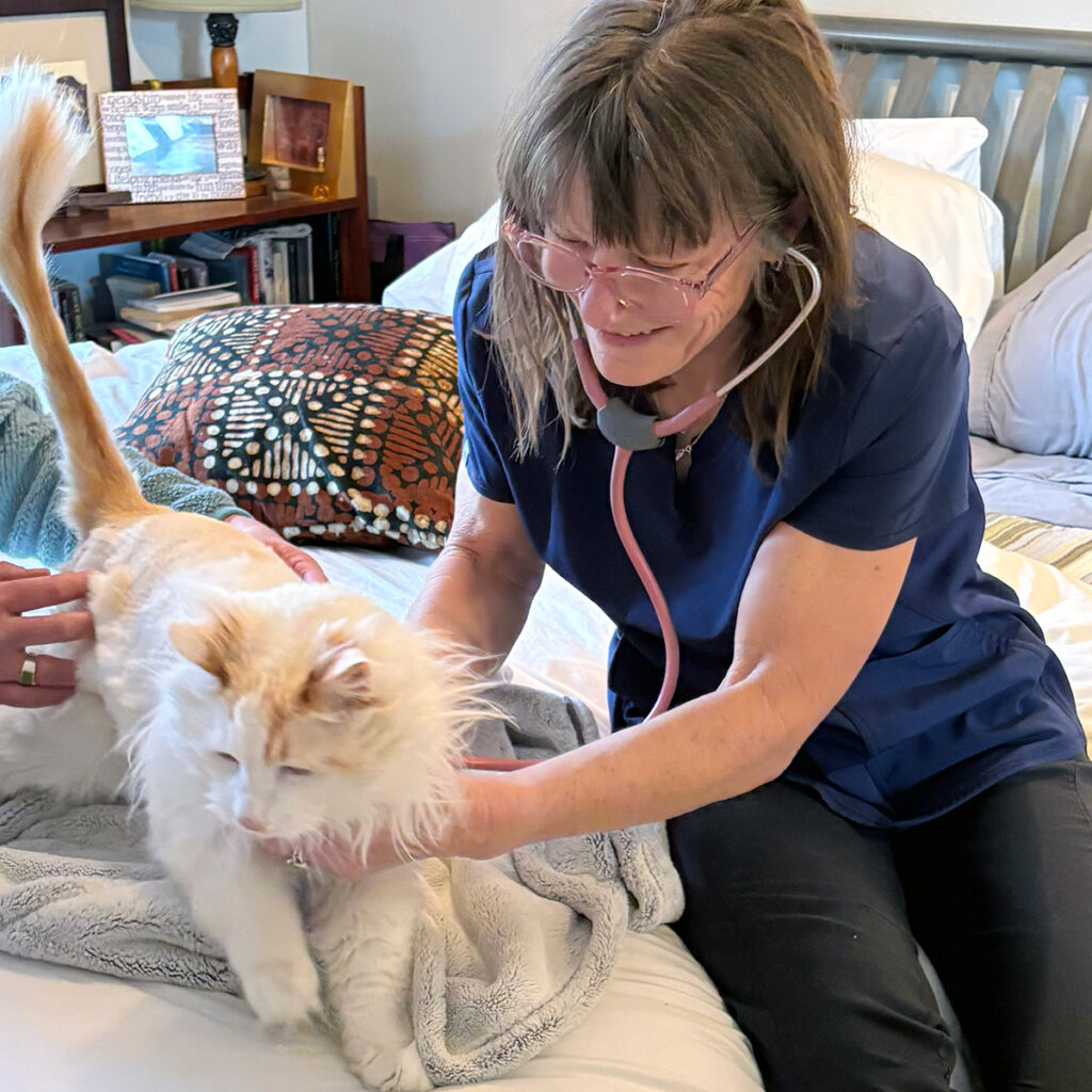 DrAnitaWorkingWithCat