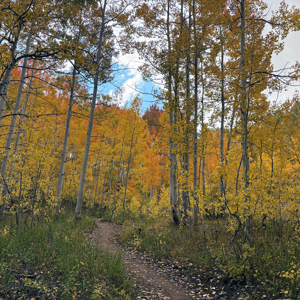 UtahNeighborhood1