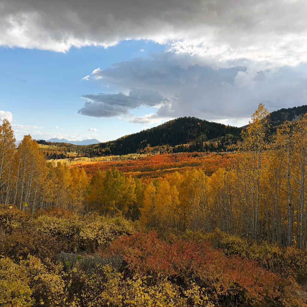 UtahNeighborhood2